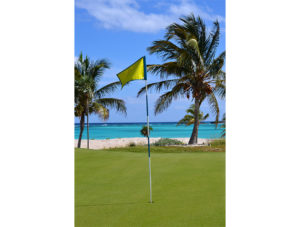 gallery_Golf_1