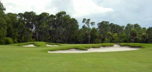 palm-golf-course-disney-reviews1
